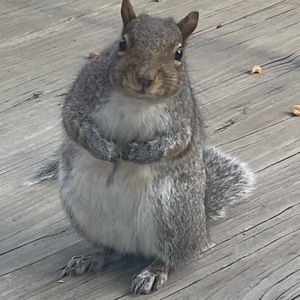 Meet your Posher, Bethany